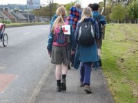 Bridge Walk photo