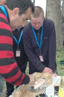 Bushcraft photo