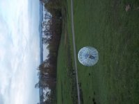 Hamster Zorbs photo
