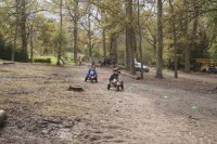 Pedal Carts photo