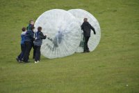 Hamster Zorbs photo