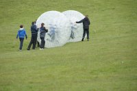 Hamster Zorbs photo