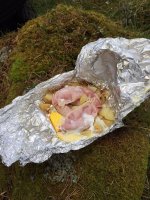Backwoods Cooking :: Tree Climb Leap of Faith  photo