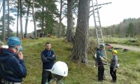 Backwoods Cooking :: Tree Climb Leap of Faith  photo