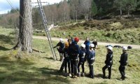 Backwoods Cooking :: Tree Climb Leap of Faith  photo