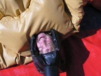 Sumo Wrestling photo