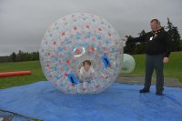 Hamster Zorbes photo