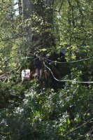 Tyrolean photo