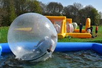 Water Walkers photo