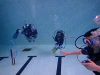 Scuba photo