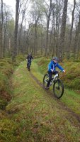 Mountain Biking photo