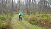Mountain Biking photo