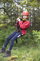 3G Swing photo