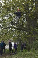 3G Swing photo