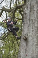 Leap of faith photo