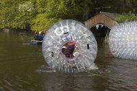Water Rollers photo