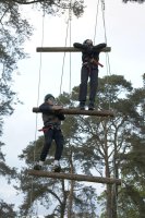 Jacobs Ladder photo