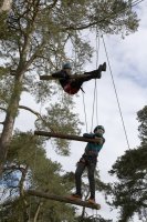 Jacobs Ladder photo