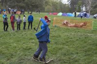 Tomahawk Throwing photo