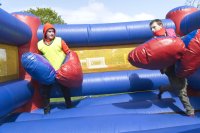 Bouncy Boxing photo