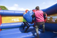 Bouncy Boxing photo