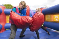 Bouncy Boxing photo