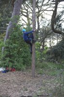 Peg Pole Climb photo