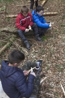 Bush Craft photo
