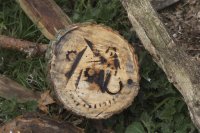 Branding photo