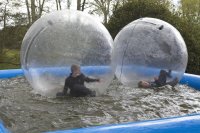 Water Walkers photo