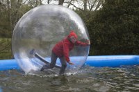 Water Walkers photo