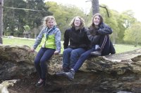Camp Cooking photo