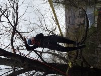 Aerial Adventure photo