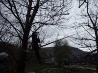 Aerial Adventure photo
