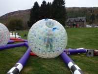 Hamster Zorb photo