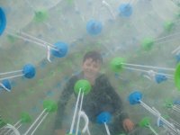 Hamster Zorb photo