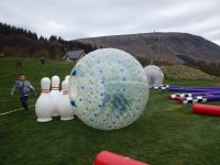 Hamster Zorb photo