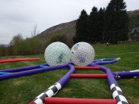 Hamster Zorb photo