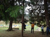 Peg Pole Climb photo