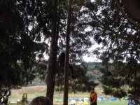 Peg Pole Climb photo
