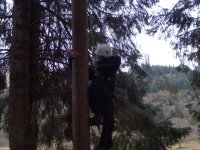 Peg Pole Climb photo