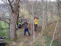 Low Ropes photo