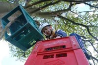 Crate Climbing photo
