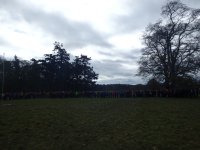 Camp Life photo