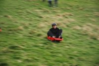 Grass Sledges photo