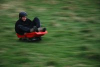Grass Sledges photo
