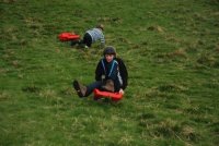 Grass Sledges photo
