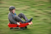 Grass Sledges photo