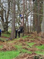 In the Trees photo