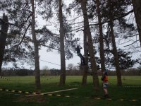 In the Trees photo